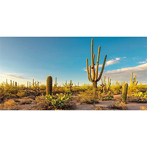 AWERT Fondo de vinilo duradero de 180 x 61 cm para terrario de sol y desierto con oasis de cactus y...
