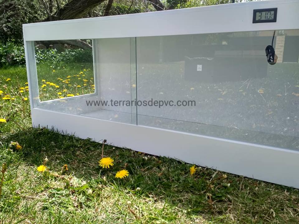 terrario pvc espumado para pogonas reptiles envio gratis barato negro blanco ventana